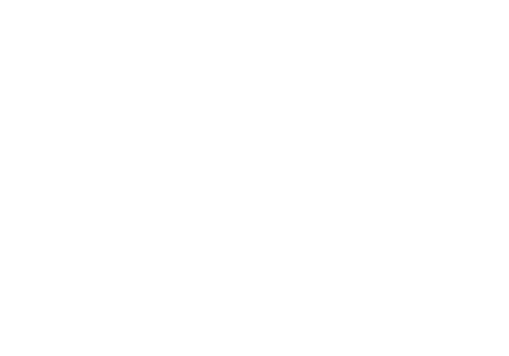 Palmera Marketing Agency